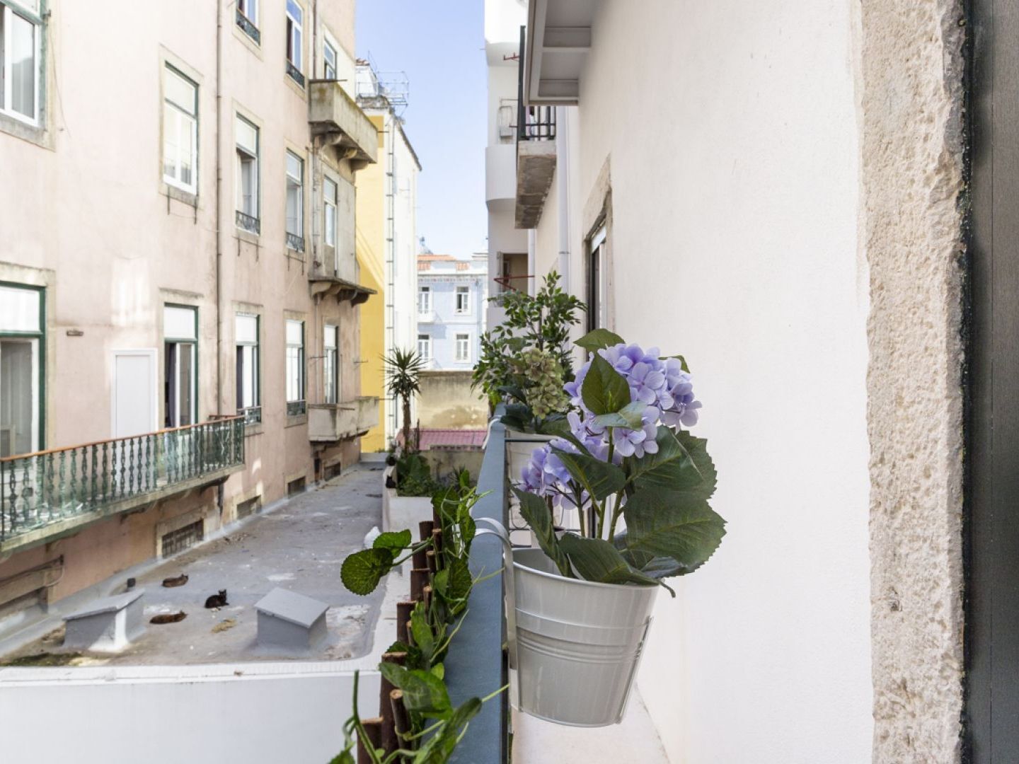 Altido Chic 1br Apt With Balcony Close By Graca Viewpoint And Tram Stops Lisbon